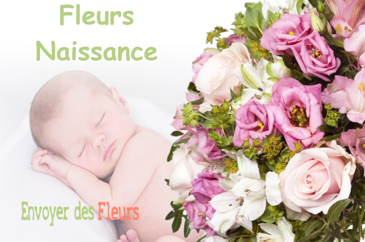 lIVRAISON FLEURS NAISSANCE à SAVIGNA